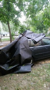 Mureş: Copaci smulşi, drumuri blocate şi autoturisme afectate, în urma furtunii. Un copac a căzut pe clădirea Spitalului TBC