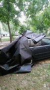 Mureş: Copaci smulşi, drumuri blocate şi autoturisme afectate, în urma furtunii. Un copac a căzut pe clădirea Spitalului TBC