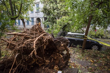UPDATE Furtună puternică în vestul şi nordul ţării: 8 morţi şi 67 răniţi, între care şi copii în stare gravă, după ce o vijelie a doborât copaci, acoperişuri, panouri publicitare. Celulă de criză la nivelul Ministerului de Interne - FOTO,VIDEO