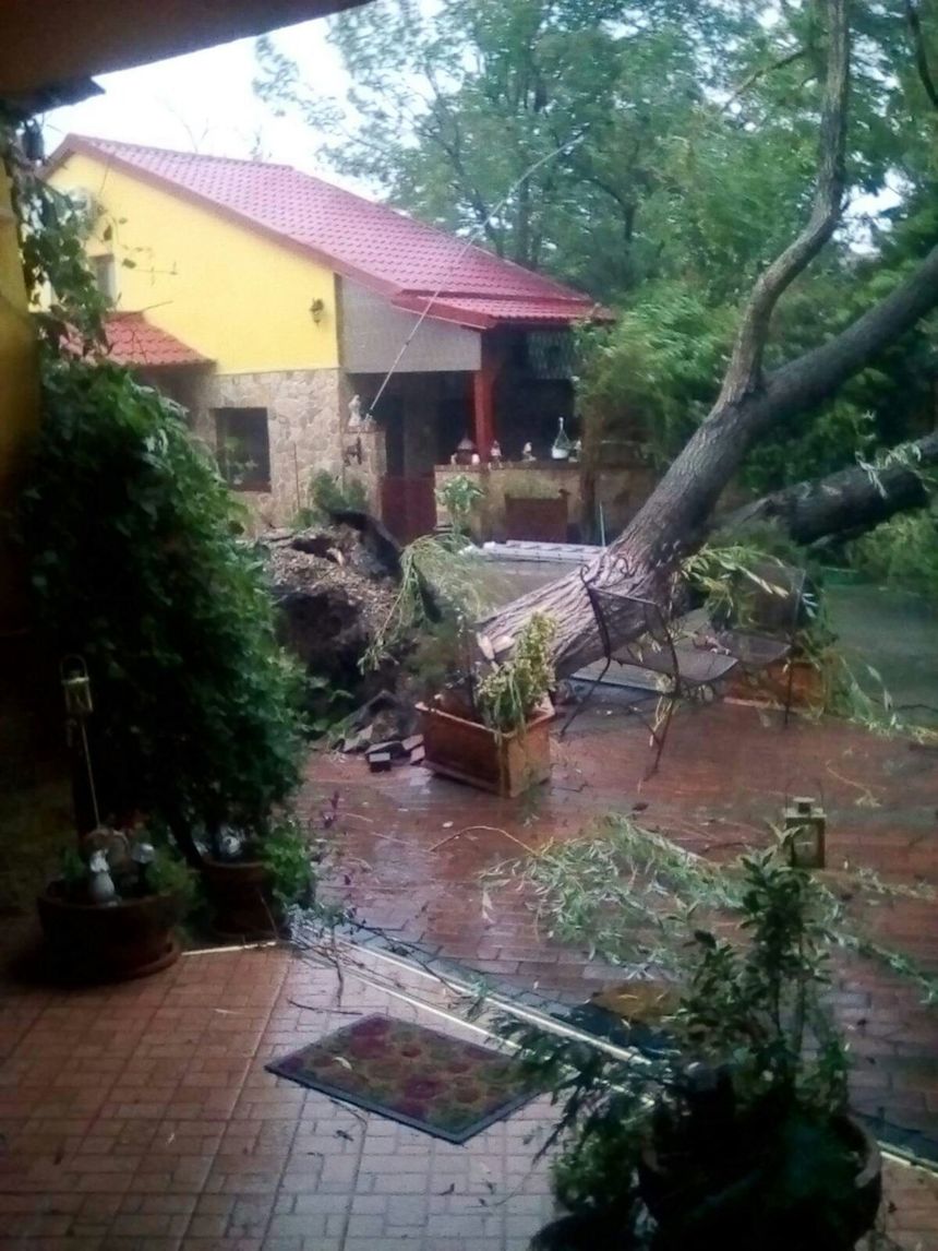 Arad: Acoperişuri luate de vânt şi maşini avariate de copaci rupţi, în urma unei furtuni de câteva minute. FOTO