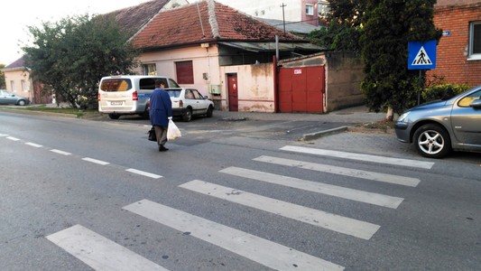 Trecere de pietoni din faţa unei şcoli din Arad, inutilizabilă pentru că la ambele capete sunt spaţii verzi cu gard viu prin care nu se poate trece - FOTO