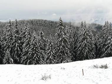 Strat de zăpadă de 82 de centimetri la Vârful Omu. Ninge în mai multe zone, iar drumarii au împrăştiat deja 16 tone de material antiderapant

