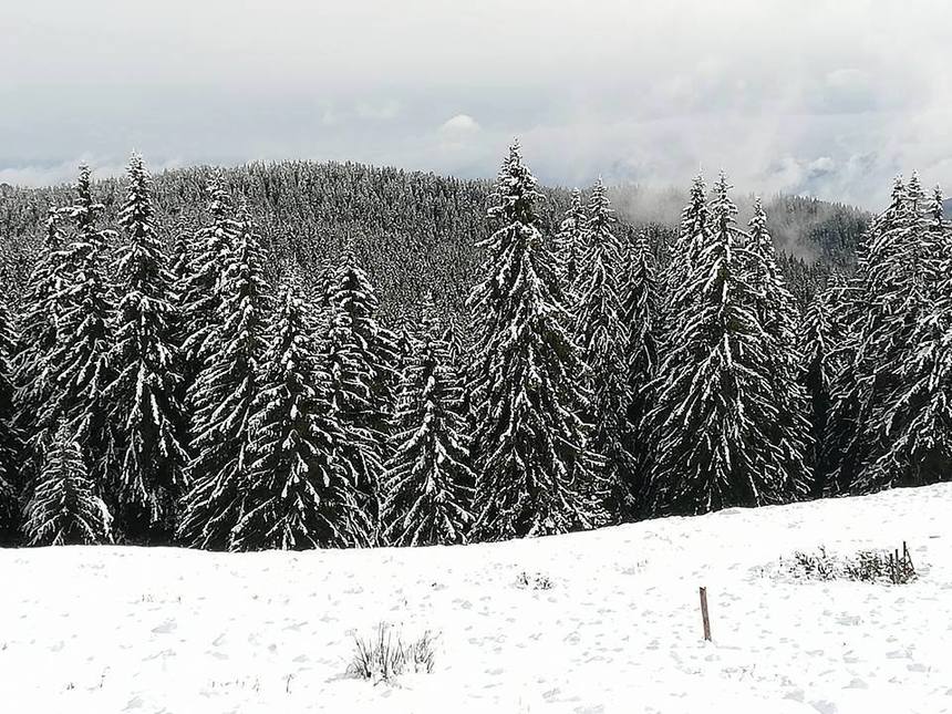 Sibiu: Circulaţie oprită temporar pe Transfăgărăşan, între Bâlea Lac şi Bâlea Cascadă, din cauza viscolului şi ceţii