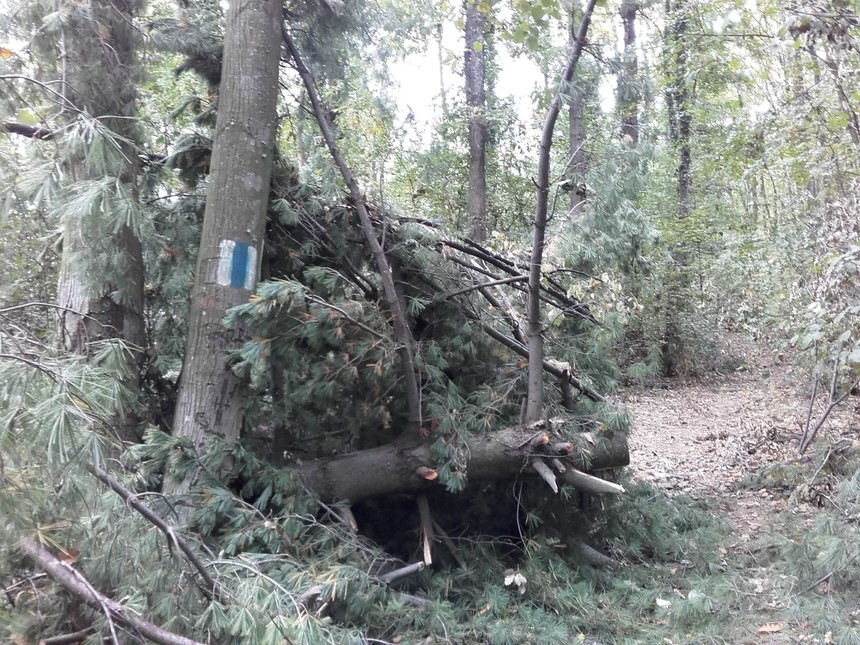 Trasee turistice din judeţul Arad, afectate de furtunile violente din ultimele luni, închise de salvamontişti