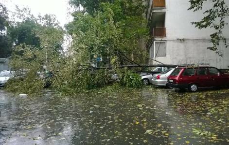 Taximetrist rănit după ce un copac a căzut peste maşina sa, pe un bulevard din Capitală