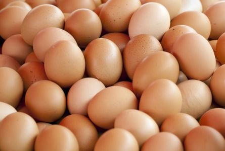 Ministrul Agriculturii: Aşteptăm explicaţiile Consiliului Concurenţei privind scumpirea unor alimente. Noi nu am găsit niciun factor care să justifice creşterea preţurilor