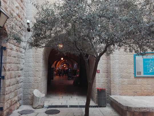 Galerie de magazine sub tunelurile vechi din Ierusalim. În faţa tunelului, un măslin. Foto: Cristina Radu / News.ro