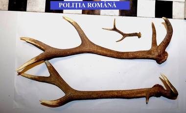 Aproape 3.000 de ţigarete, peste 2.000 de articole pirotehnice şi peste 400.000 de lei, confiscaţi de poliţişti în urma unor percheziţii în Bistriţa-Năsăud