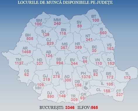 ANOFM: Peste 16.400 de locuri de muncă vacante la nivel naţional, cele mai multe în Bucureşti, Arad, Prahova şi Timiş