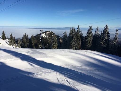 Vremea în weekend va fi caldă, cu temperaturi de până la 15 grade Celsius