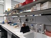 Mihai Fifor: Vor fi scoase la concurs 200 de posturi la Institutul ”Cantacuzino”. Producţia de vaccin antigripal va reîncepe în 2 ani