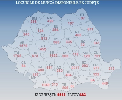 ANOFM: Peste 30.000 de locuri de muncă vacante la nivel naţional, cele mai multe în Bucureşti, Prahova şi Timiş