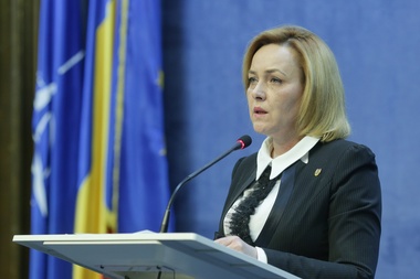Carmen Dan, în plenul Camerei: În urma analizei după plata salariilor pentru luna ianuarie, a reieşit că în MAI numai 58 de salarii au scăzut 
