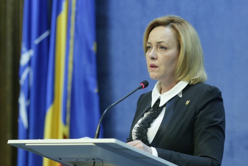 Carmen Dan, în plenul Camerei: În urma analizei după plata salariilor pentru luna ianuarie, a reieşit că în MAI numai 58 de salarii au scăzut 