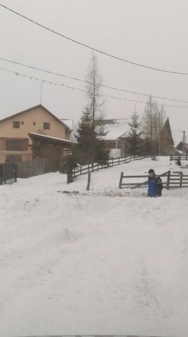 Şcolile din Dolj vor fi închise miercuri şi joi