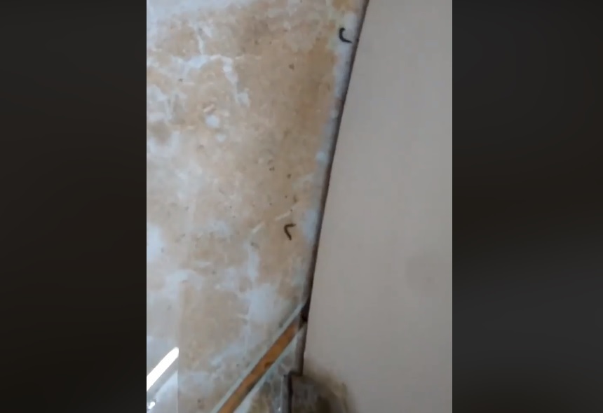 Anchetă la Spitalul de Copii din Galaţi, după ce o pacientă a filmat viermi în baia salonului. VIDEO 
