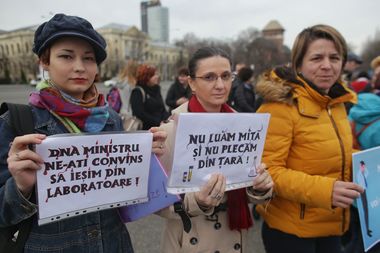 Câteva zeci de biologi şi biochimişti din sistemul sanitar protestează sâmbătă în faţa Guvernului, nemulţumiţi de legea salarizării: Suntem biologi, nu Biomilogi! FOTO