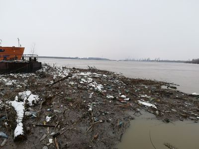 Tone de gunoi au apărut pe Dunăre, la Galaţi; Garda de Mediu somează operatorii economici să cureţe în zona de responsabilitate