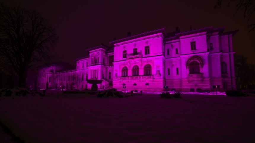 Palatul Cotroceni şi Palatul Victoria, iluminate în mov pentru a marca Ziua Internaţională a Luptei împotriva Epilepsiei