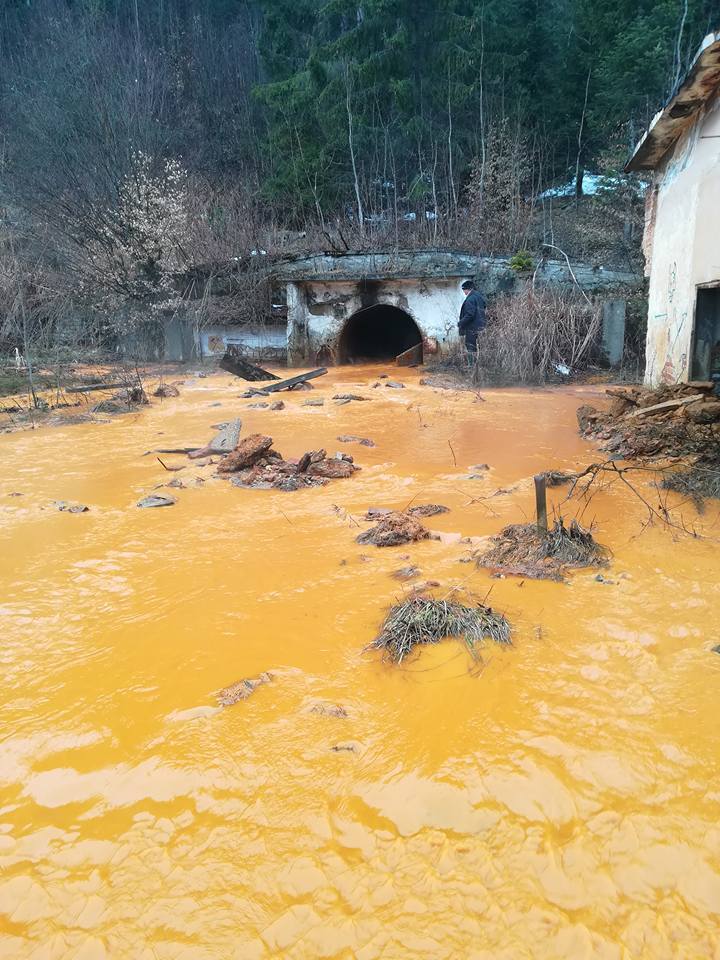 Maramureş: Poluare accidentală a râului Lăpuş cu ape de mină. FOTO 