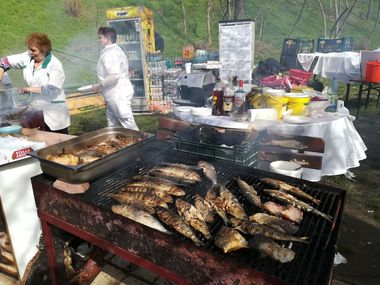 Mii de gălăţeni, la "Festivalul Scrumbiei" de pe Faleza Dunării, în ciuda debitului mare al apei. FOTO