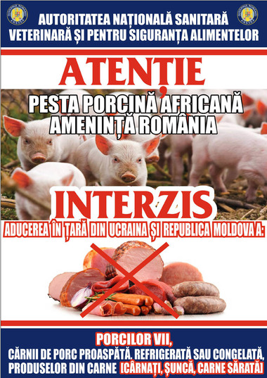Virusul pestei porcine africane, depistat în cârnat confiscat la Vama Halmeu, unde a fost găsit şi salam contaminat