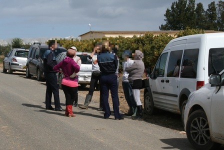 Poliţia Română şi autorităţile spaniole au lansat o operaţiune comună de prevenire a traficului de fiinţe umane şi exploatarea forţei de muncă în domeniul agricol din Spania - FOTO