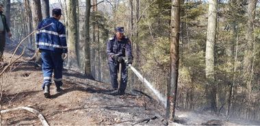 Bacău: Peste 175 de oameni intervin pentru stingerea unui incendiu de litieră care se manifestă pe şase hectare cu degajări de fum. FOTO/ VIDEO