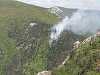 Caraş- Severin: Incendiu de pădure în Parcul Naţional Domogled unde se află pinul negru, o specie protejată