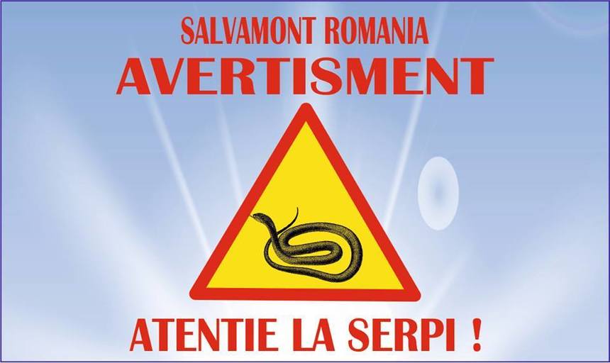 Salvamont: Întâlnirile cu şerpii pe munte devin din ce în ce mai dese. În cazul unei muşcături, consumul de alcool, mişcările bruşte sau aplicarea gheţii pe rană sunt strict interzise