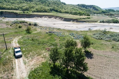 UPDATE - Doi oameni au murit, iar un al treilea a intrat în şoc anafilactic dupa ce au fost înţepaţi de albine, într-un sat din Buzău. Detalii despre incident - FOTO