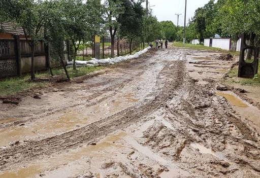 UPDATE Cod galben de furtuni şi ploi în 30 de judeţe: Zeci de gospodării inundate, copaci doborâţi şi localităţi fără curent electric în Caraş-Severin, Timiş şi Vâlcea. FOTO/ VIDEO