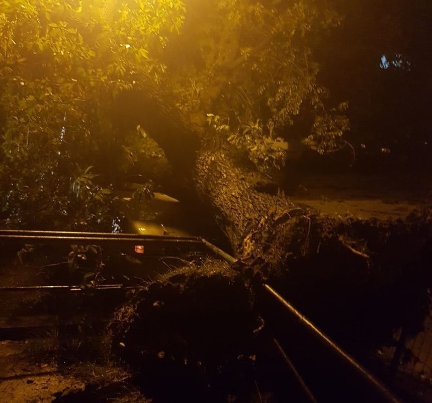 Un copac a căzut peste o maşină în Craiova, iar trei case au fost inundate

