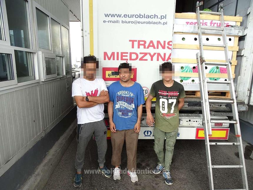 Trei pakistanezi care voiau să ajungă în Germania, depistaţi la Punctul de Trecere a Frontierei Calafat într-un camion cu pepeni - FOTO, VIDEO