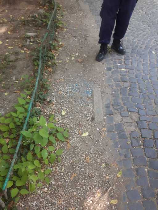 Firea, despre otrava împrăştiată în parcuri: Au fost sparte 30 de cutii cu granule de otravă din cinci parcuri. Otrava a fost strânsă, iar restul capcanelor pentru şobolani sunt verificate de ALPAB şi Poliţia Locală