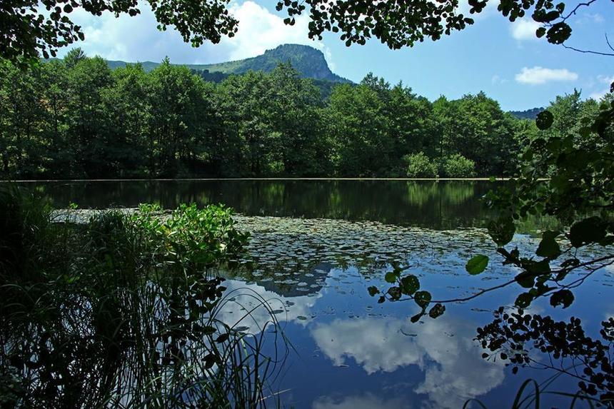 Agenţia Naţională pentru Arii Naturale Protejate, înfiinţată în 2016, are un nou director