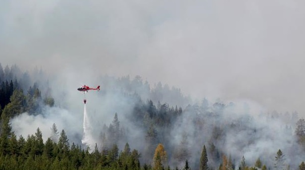 MAE avertizează cetăţenii români cu privire la incendiile de pădure din Suedia