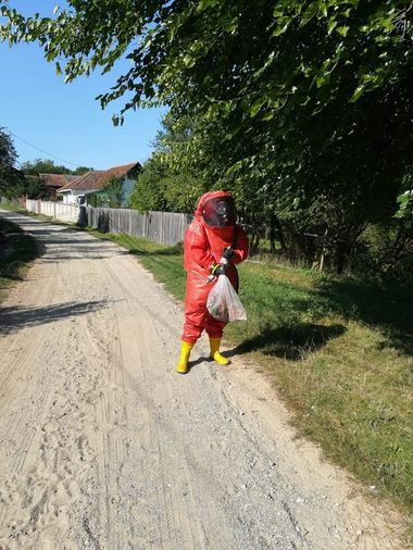 Mehedinţi: Aproape 40 de intervenţii ale pompierilor pentru îndepărtarea unor cuiburi de gărgăuni, în creştere faţă de anul trecut; insectele sunt foarte periculoase. FOTO