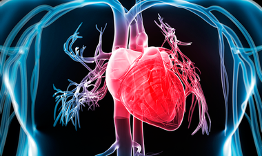 Aproximativ 300 de români trecuţi de 75 de ani ar putea beneficia anual de implantarea gratuită şi fără operaţie de valvă aortică dacă CNAS ar suplimenta fondurile pentru această procedură