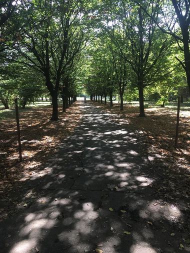 Reprezentant Eco Civica: În Bucureşti mai avem în jur de 1.500 de hectare de spaţiu verde, dar jumătate nu este declarat ca atare în documentaţiile urbanistice; este o şmecherie a autorităţilor
