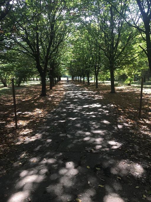 Reprezentant Eco Civica: În Bucureşti mai avem în jur de 1.500 de hectare de spaţiu verde, dar jumătate nu este declarat ca atare în documentaţiile urbanistice; este o şmecherie a autorităţilor