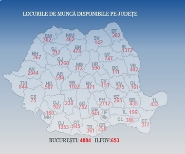 ANOFM: Aproximativ 30.000 de locuri de muncă sunt vacante la nivel naţional