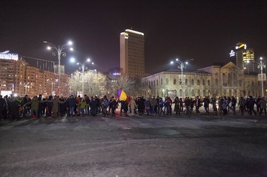 Colegiul Medicilor Veterinari anunţă organizarea unui miting de protest, vineri, în Piaţa Victoriei