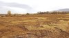 O primărie din Arad a decis să înfiinţeze o ”pădure a Centenarului”, în care plantează 1918 stejari. Primarul: Vrem un loc verde, nu un monument rece