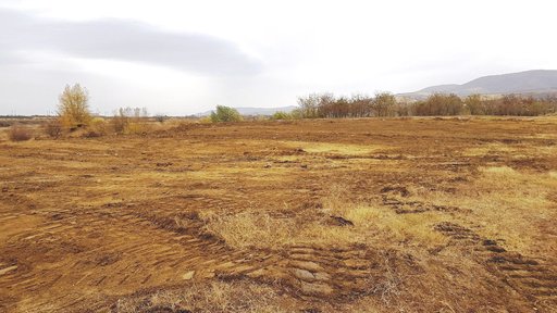 O primărie din Arad a decis să înfiinţeze o ”pădure a Centenarului”, în care plantează 1918 stejari. Primarul: Vrem un loc verde, nu un monument rece