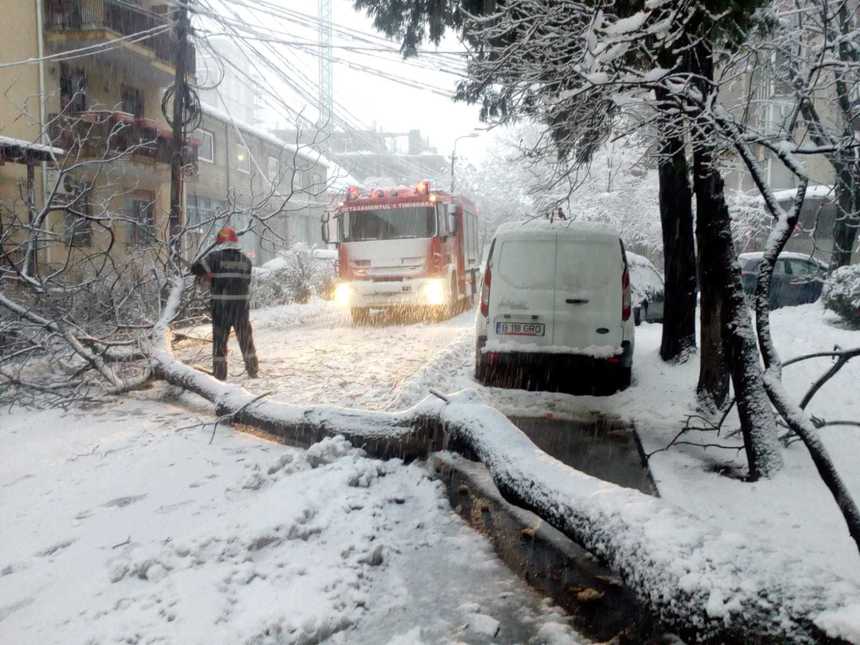 Cod portocaliu de ninsori: Peste 12.000 de consumatori din Timiş au rămas fără curent, autorităţile convocând Comitet pentru Situaţii de Urgenţă. Peste 18.900 de familii din Buzău nu au curent electric din cauza vântului puternic. FOTO