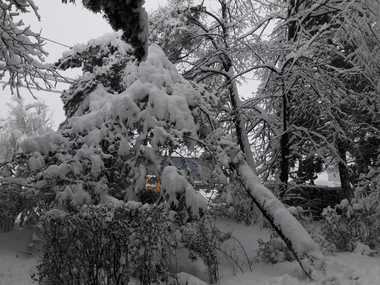Două trenuri de călători sunt blocate în judeţul Hunedoara, din cauza zăpezii