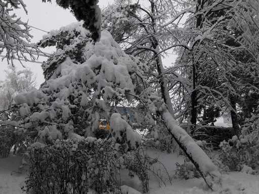 Două trenuri de călători sunt blocate în judeţul Hunedoara, din cauza zăpezii