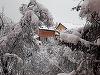 Şcolile din judeţul Timiş vor fi închise, luni şi marţi, din cauza condiţiilor meteo severe