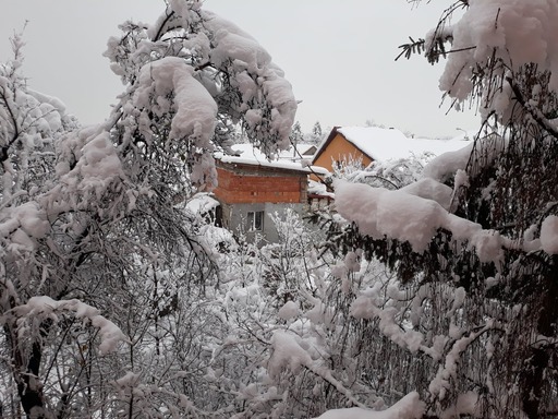 Şcolile din judeţul Timiş vor fi închise, luni şi marţi, din cauza condiţiilor meteo severe